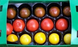 WM-Tomaten